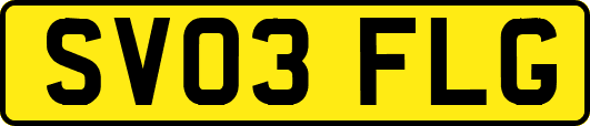 SV03FLG