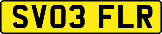 SV03FLR