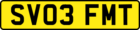 SV03FMT