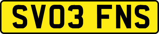 SV03FNS