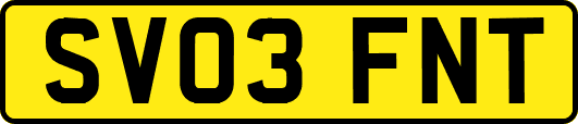 SV03FNT