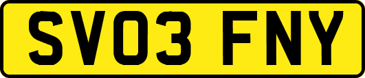 SV03FNY