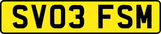 SV03FSM