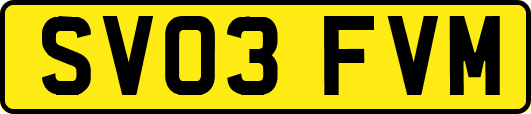 SV03FVM