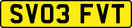 SV03FVT