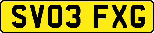 SV03FXG