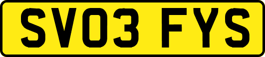 SV03FYS