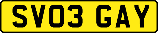 SV03GAY