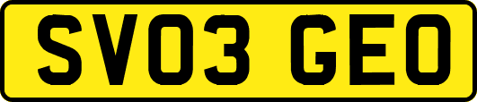 SV03GEO