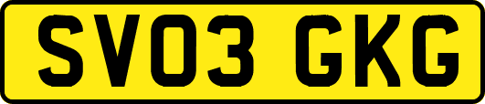 SV03GKG