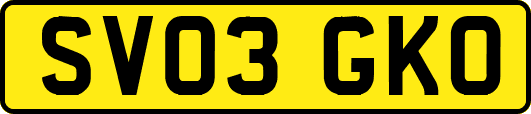 SV03GKO