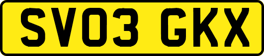 SV03GKX