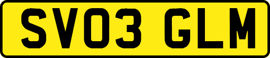 SV03GLM