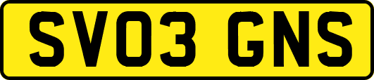 SV03GNS