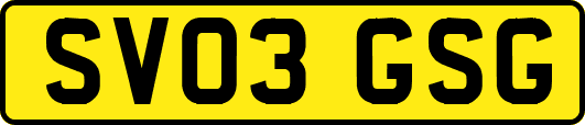SV03GSG