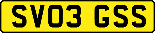 SV03GSS