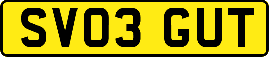 SV03GUT