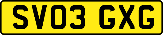 SV03GXG