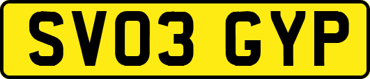 SV03GYP