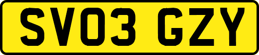 SV03GZY