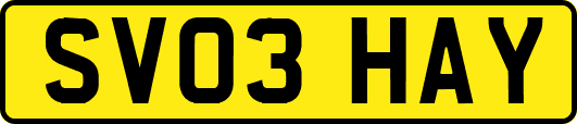 SV03HAY