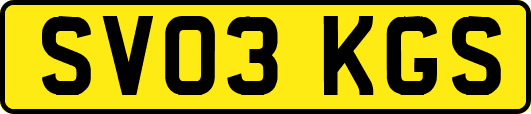 SV03KGS