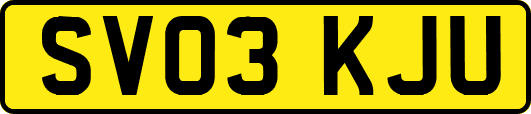 SV03KJU