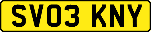 SV03KNY