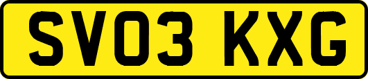 SV03KXG