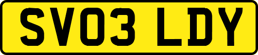 SV03LDY
