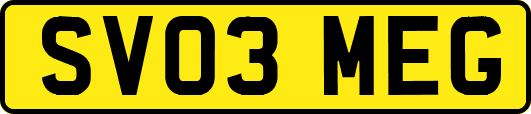 SV03MEG