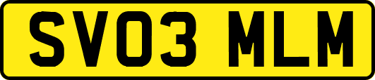 SV03MLM