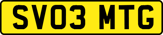 SV03MTG