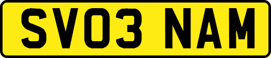 SV03NAM