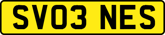 SV03NES