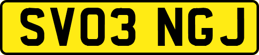 SV03NGJ