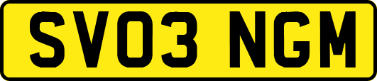 SV03NGM