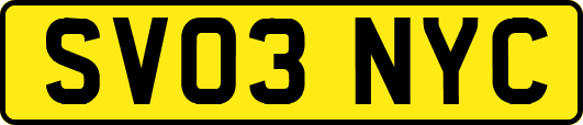 SV03NYC