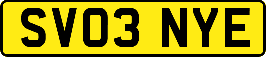 SV03NYE