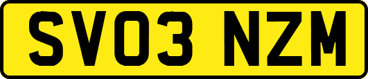 SV03NZM