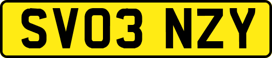 SV03NZY