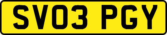 SV03PGY
