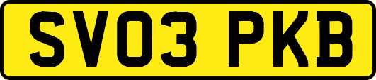 SV03PKB