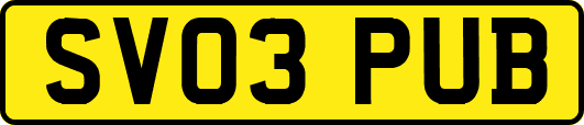 SV03PUB