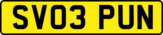 SV03PUN