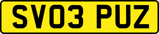 SV03PUZ