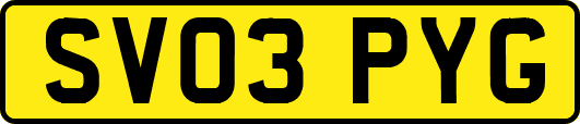 SV03PYG