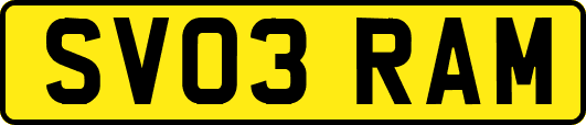 SV03RAM