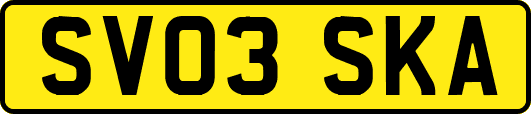 SV03SKA