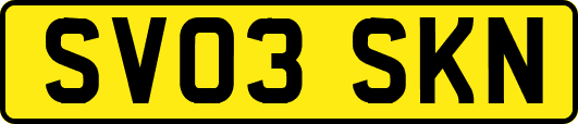 SV03SKN